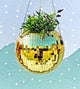 Disco Ball Hanging Plant Pot in Gilded Gold-Planter-Festival Fashion & accessories Peach Pops